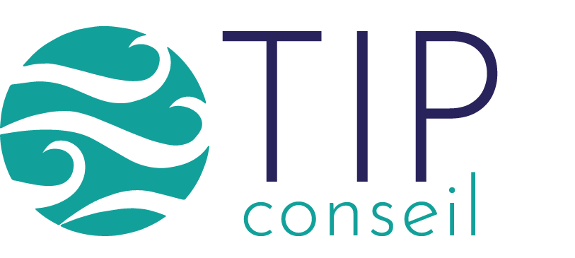 TIP Conseil CAE A Deux et Plus Entreprendre