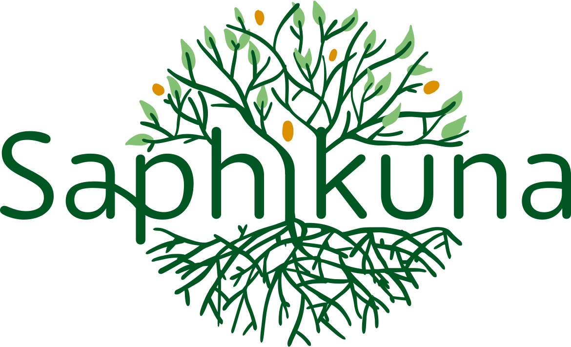 Saphikuna CAE A Deux et Plus Entreprendre