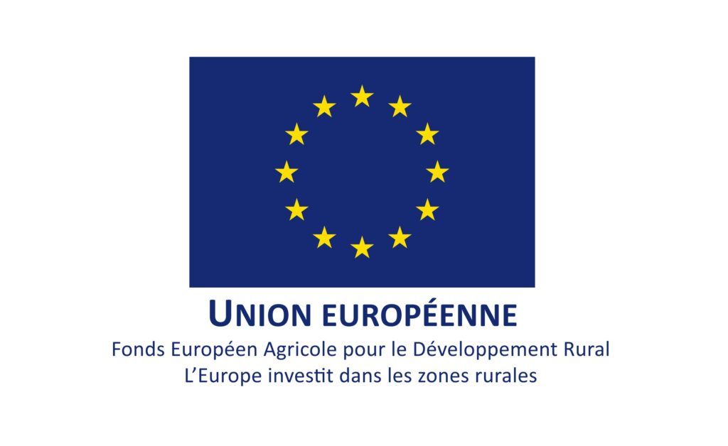 logo sponsor union européenne